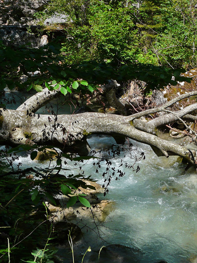 Tscheppaschlucht